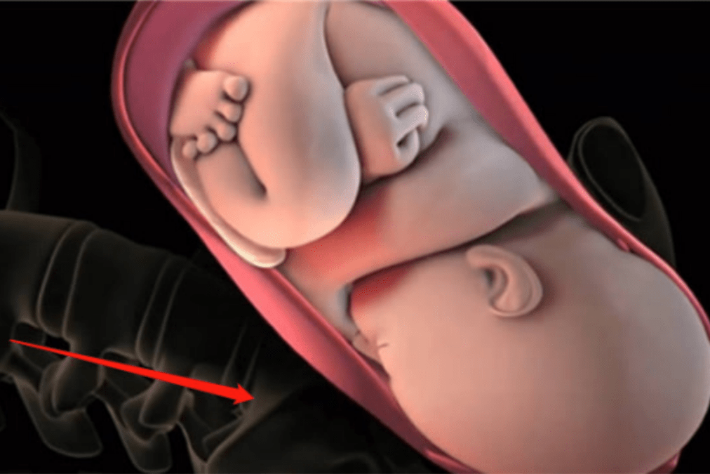 临产前半小时胎宝宝在妈妈的肚子里忙什么看完被暖到了