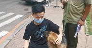 54只淘汰警犬半天内卖光，最高拍卖价33万元，买犬者不得弃养