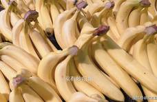 买香蕉挑“直的”还是“弯的”？