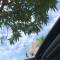 香茅超人