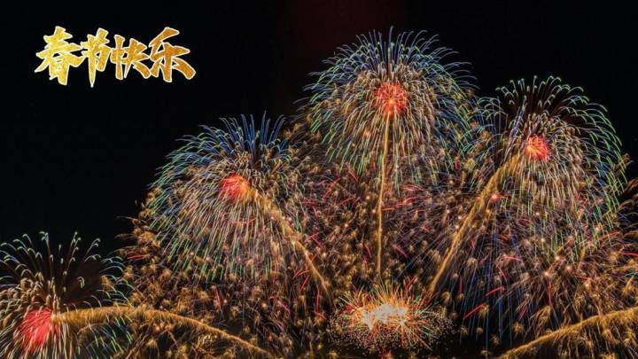 你支持春节期间禁止燃放烟花吗？