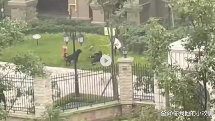 成都市公安局部署开展秋季犬只专项整治，你支持吗？