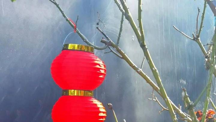 壬寅除夕，你会回家过年吗？