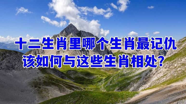 2024年属牛最大转变的一年吗 今年新转机在哪#解密血型#你的血型是哪