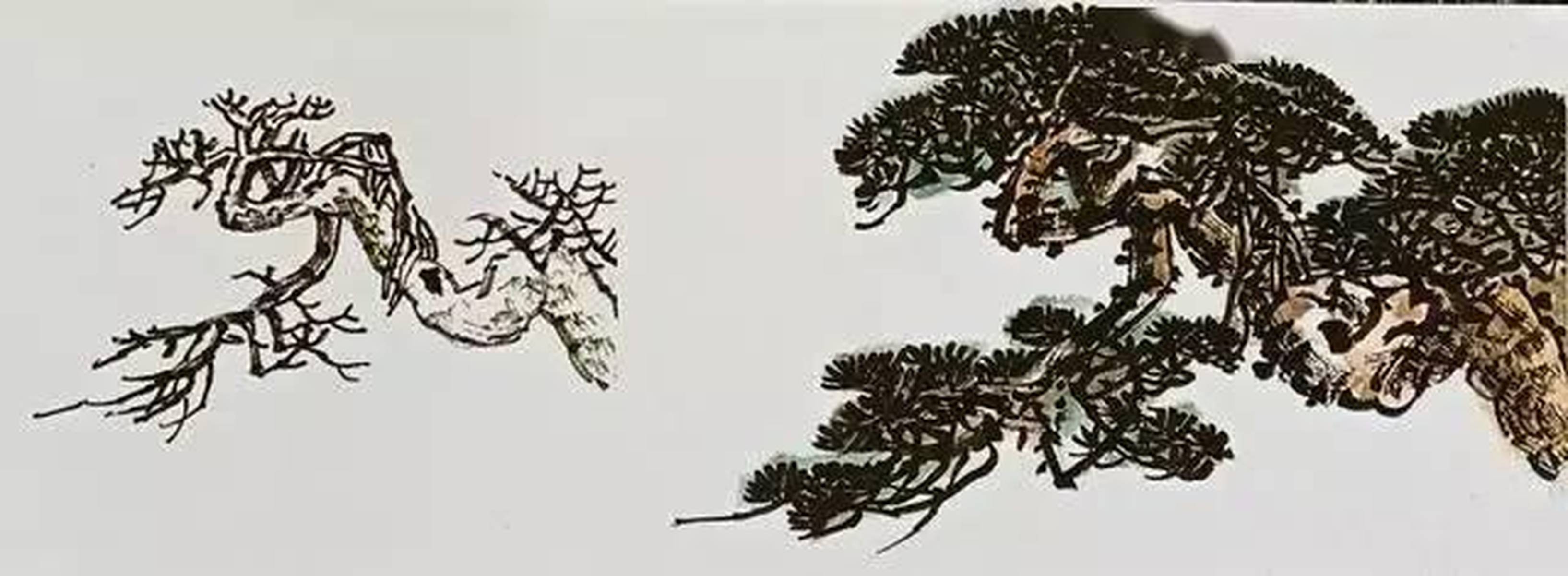 国画：松树的各种画法「图解」
