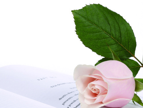 文章|专著是不是每个月出一本