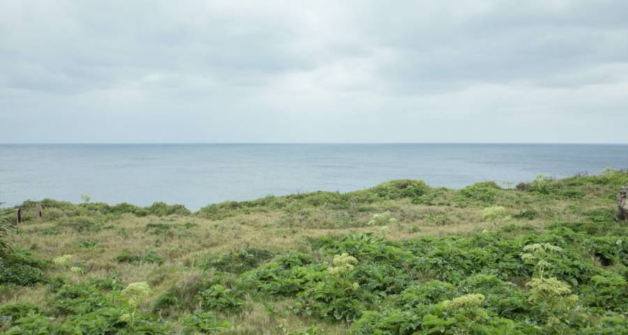 别担心消费购买没力，家电厂商先操心如何激活家电的需求！-家电圈官网