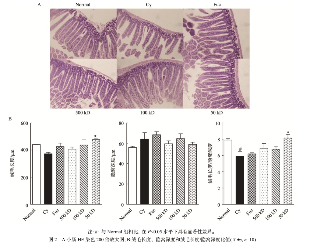 molpadioides alters gut microbiota and mitigates intestinal