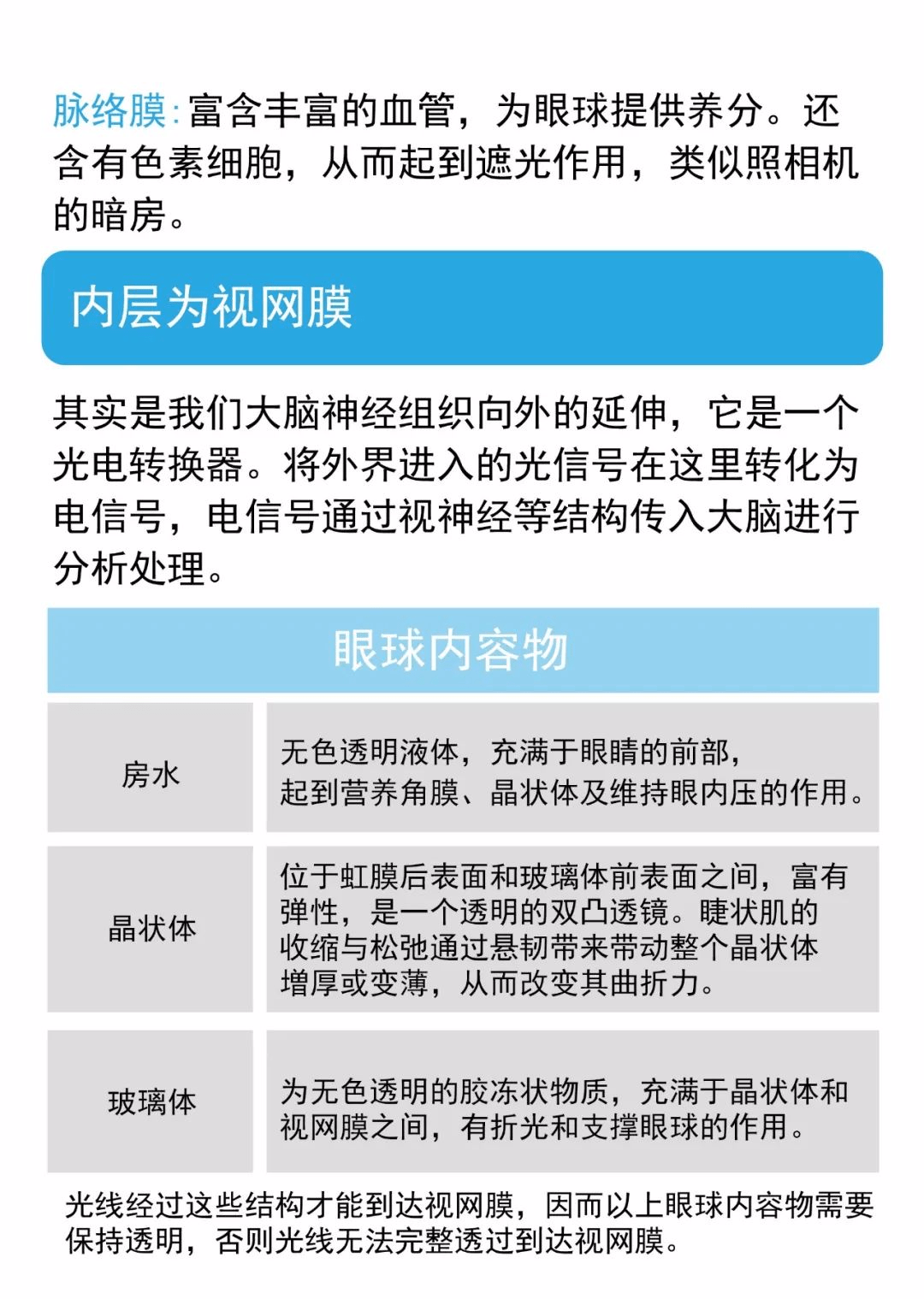 您了解我们眼睛的结构和功能吗?
