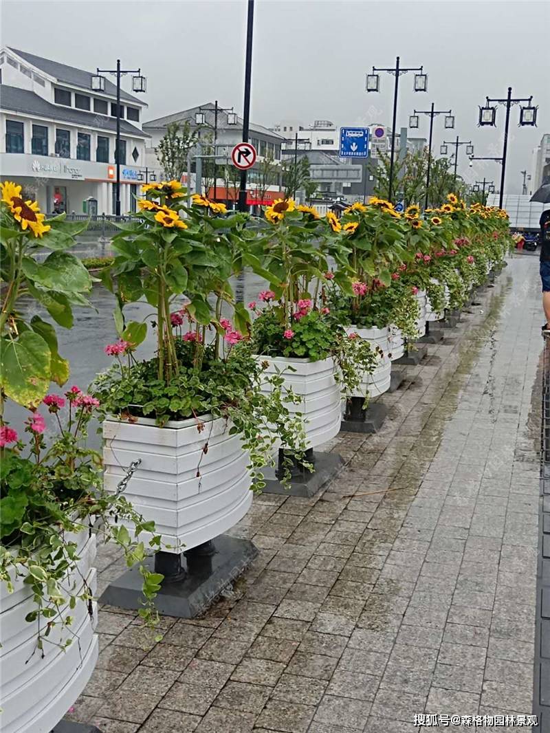 城市中的pvc道路隔离带花箱是如何设计的?