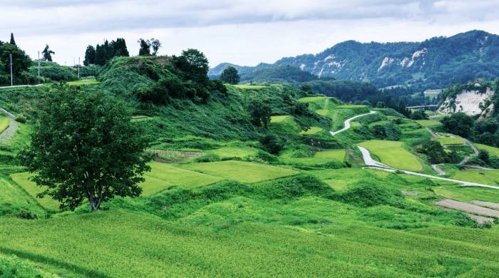 从单品、套系到全屋用水,谁在引导家电生态体系的升级?-家电圈官网