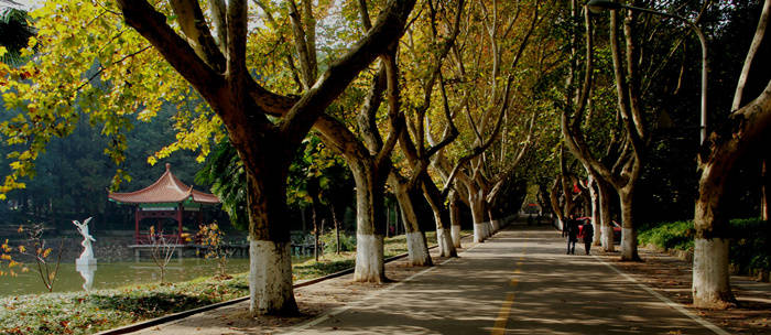 原创华中科技大学就业怎么样质量非常高