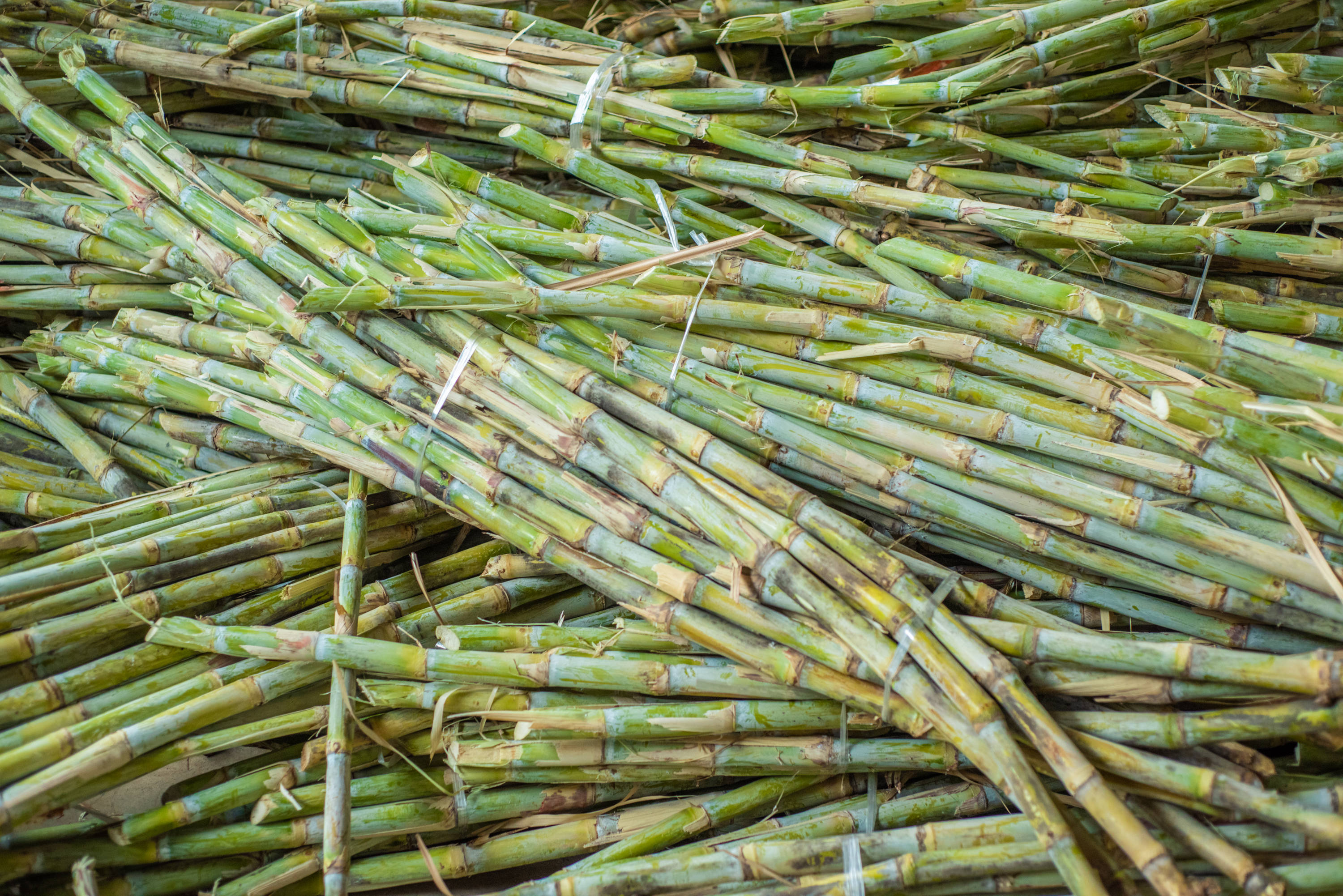 精选红糖原料,只有一颗属于李的糖