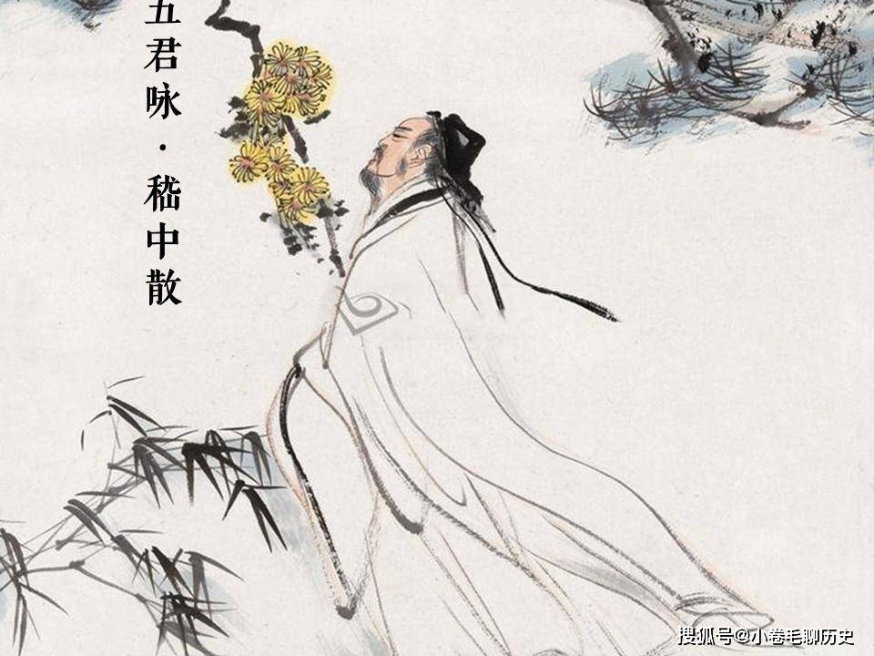 嵇康既是曹魏宗室姻亲,自然维护曹魏利益.