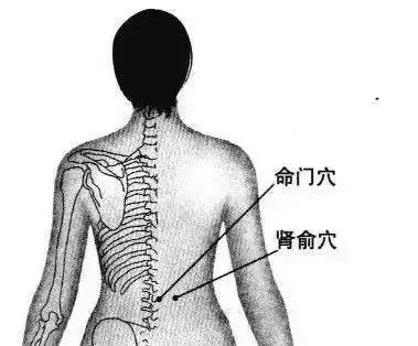 肾与肚脐位置图图片