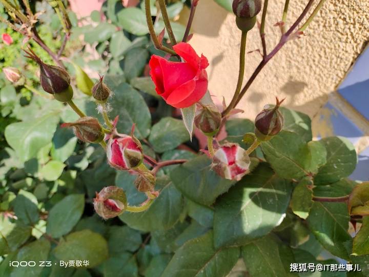 旗舰|配置全面升级 55W闪充加持 iQOO Z3打造千元5G旗舰新标杆