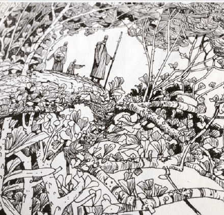 美术生的速写参考#艺术_森林