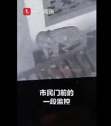 外逃豹子曾与狗纠缠后跳墙离去，外逃3只金钱豹已找回两只