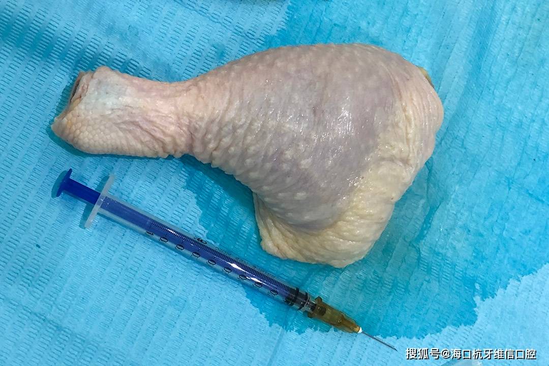 复习各种麻药皮试液的配置,并采用生鸡腿来进行麻药皮试注射实操演练