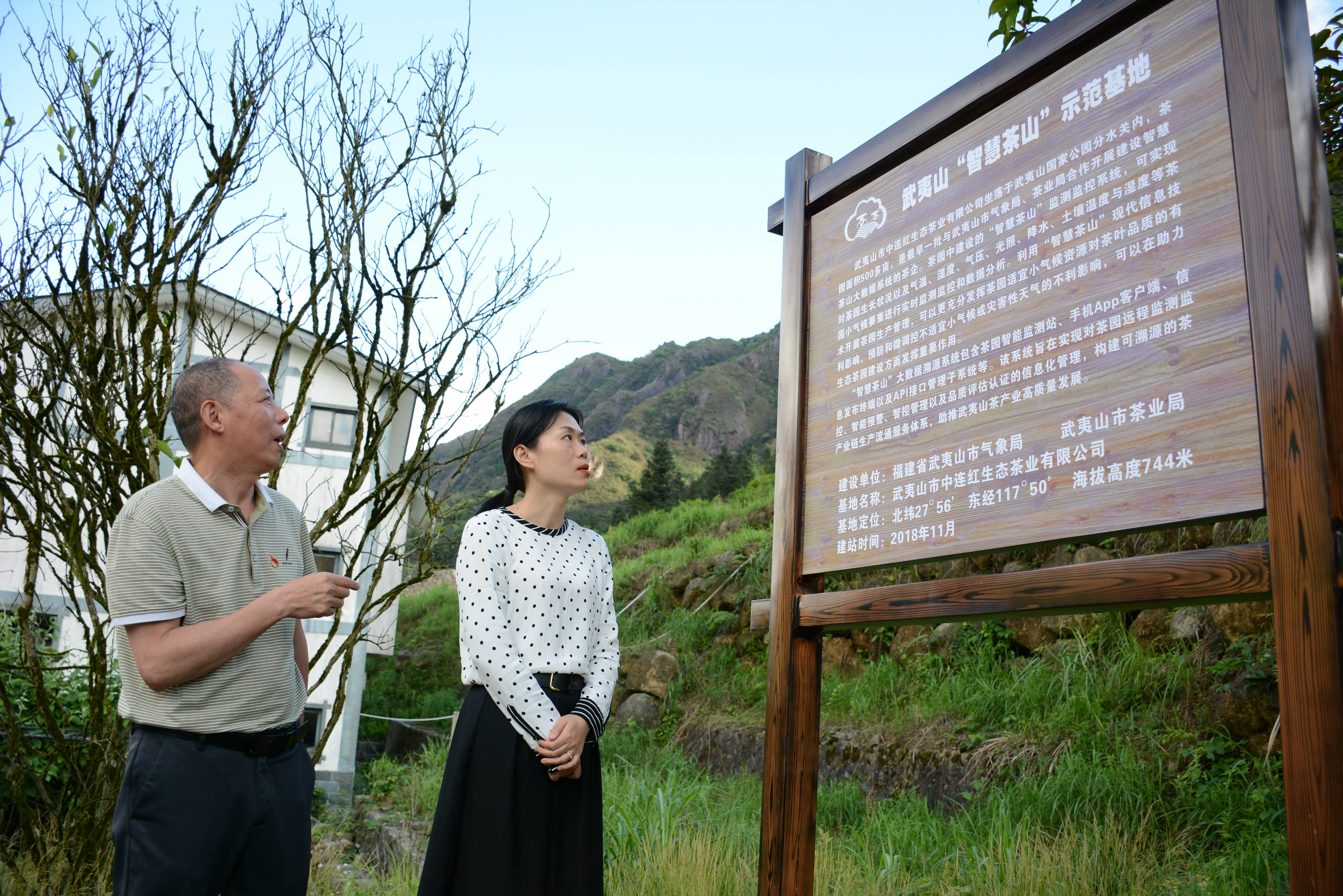 圖:武夷山市氣象局副局長周萌在調研中連紅