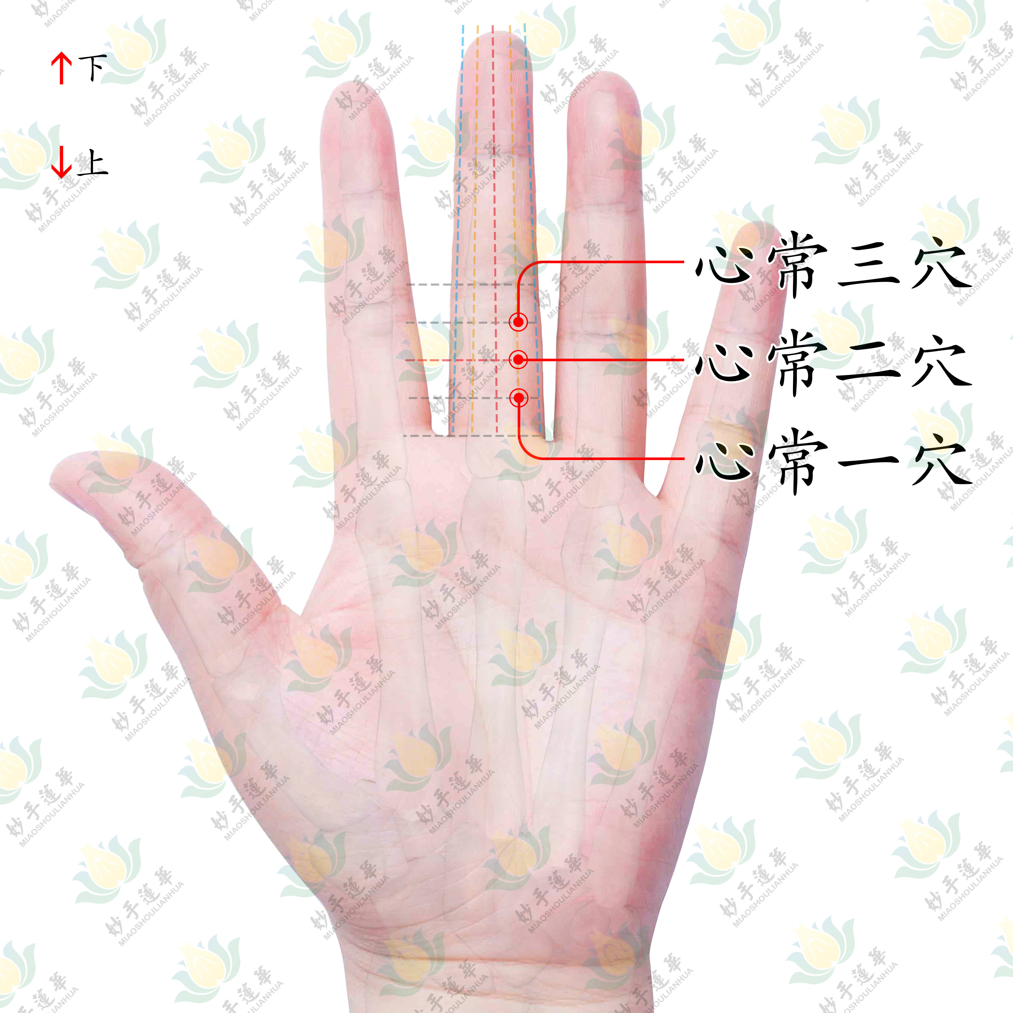 调心宁神,对身心有益的穴位-心常穴