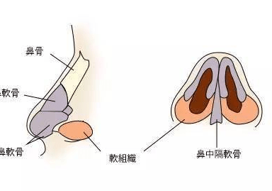 貴陽銘仁耳鼻喉醫院:如何及時發現鼻中隔偏曲?_症狀