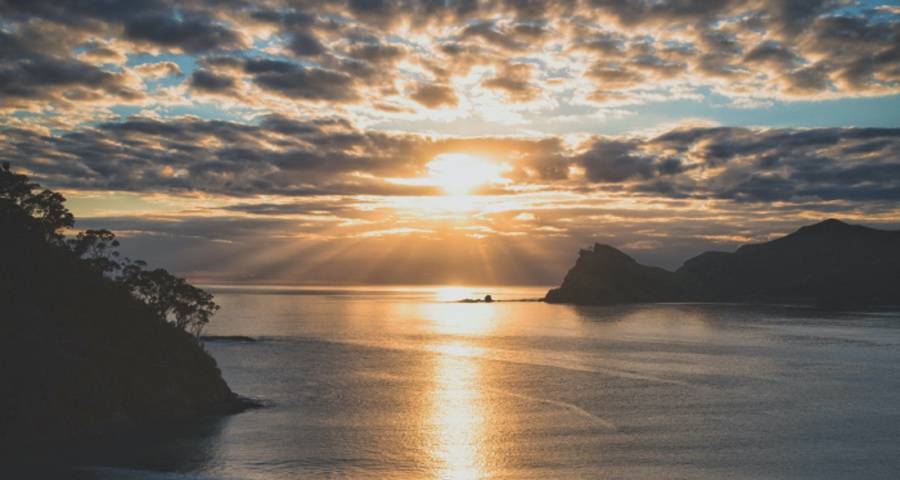 家电产业还有多少人口红利可挖？-家电圈官网