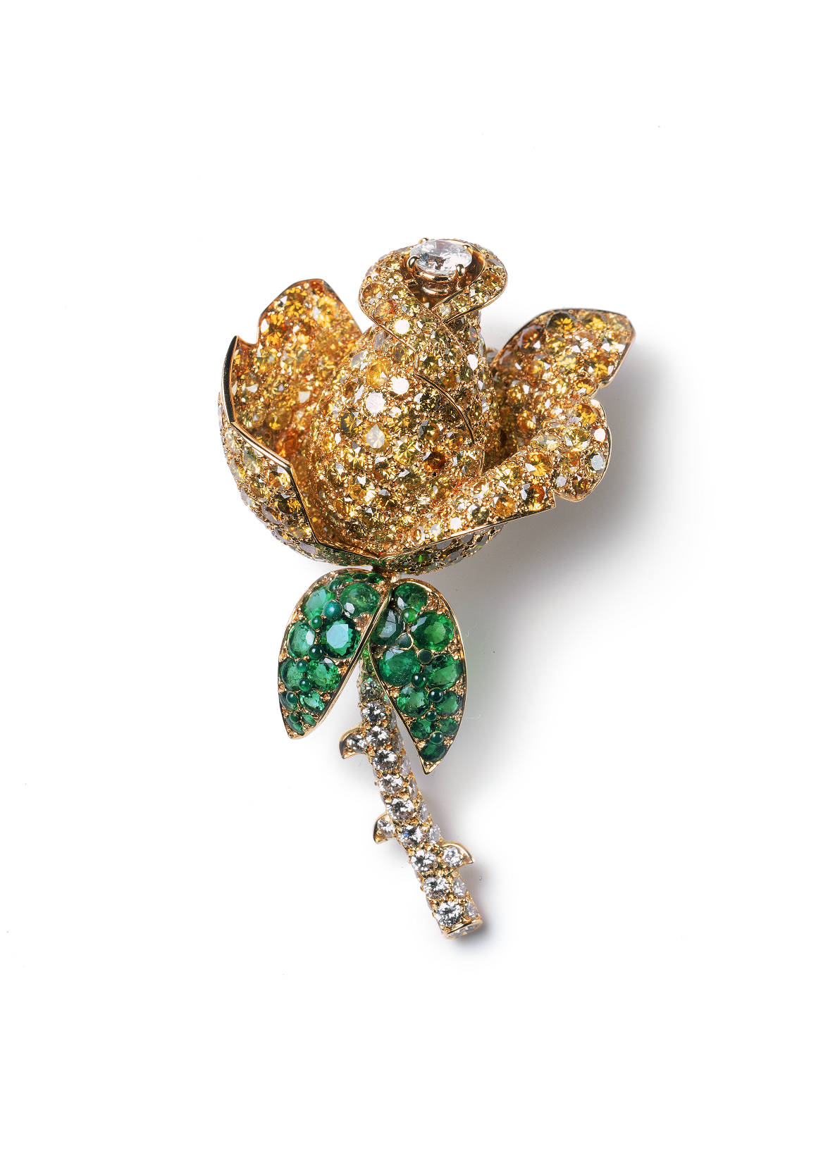 �����ǣ������ó�