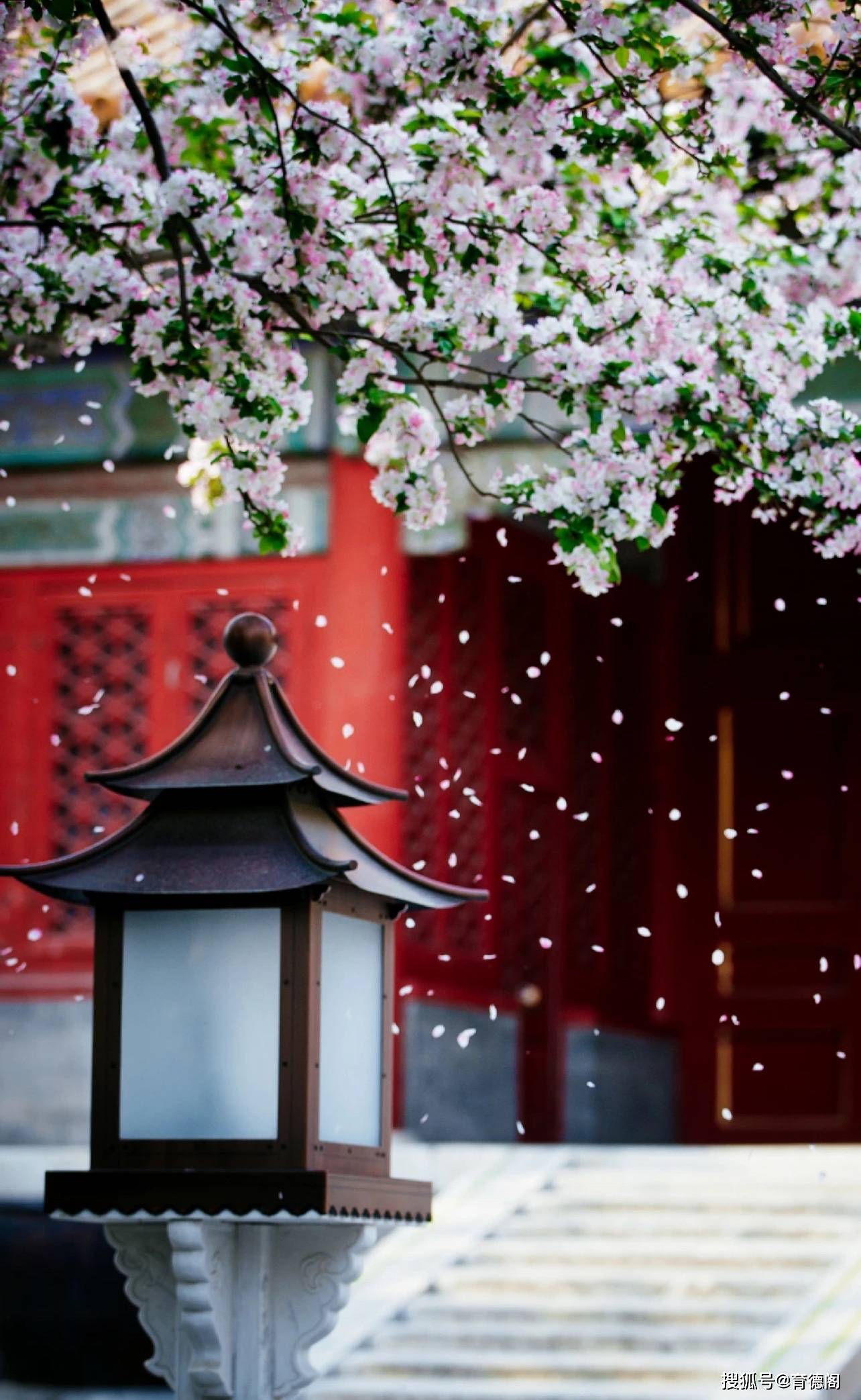 花间晚照宫候多时