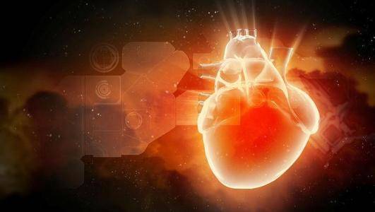 5种紫色食物 享 花青素之王 之称 抗氧化 护血管 养目 色素