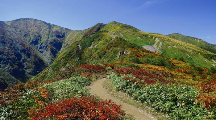 点击进入看图评论 美的“造车”背后:科技创新驱动的无边界扩展正在上演-家电圈官网