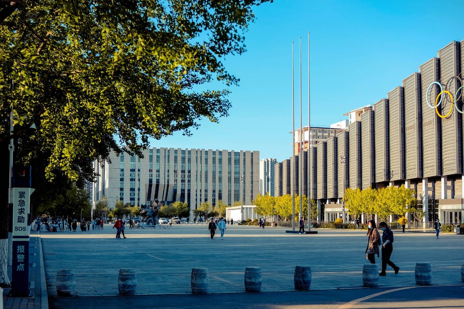 中国农业大学王牌专业是什么?入选强基计划!