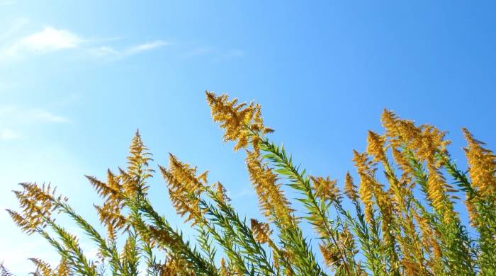 促销活动没效果？问题出在家电厂商的市场抓手少-家电圈官网