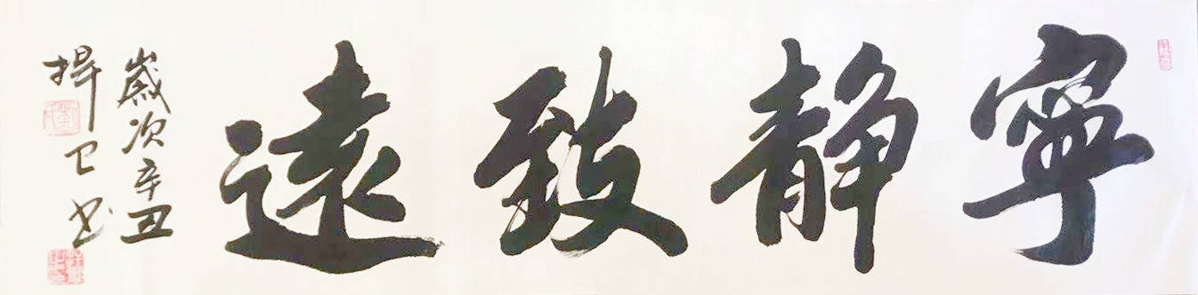 实力派书画家——刘捍卫_书法