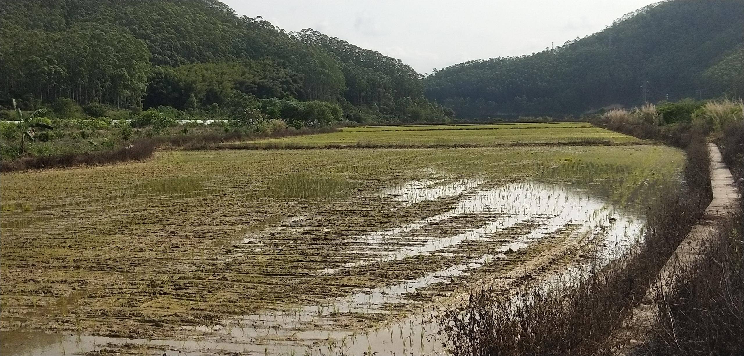 建设美丽乡村—垦造水田篇(276)