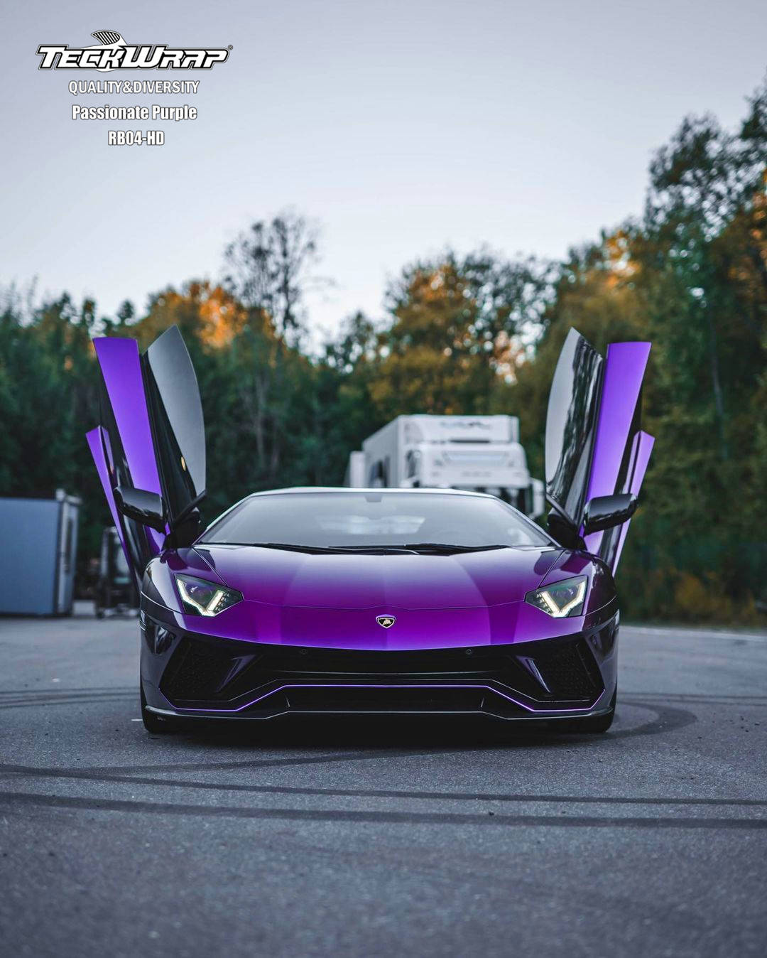 年纪轻轻就开上了紫色兰博基尼可以躺平了吗