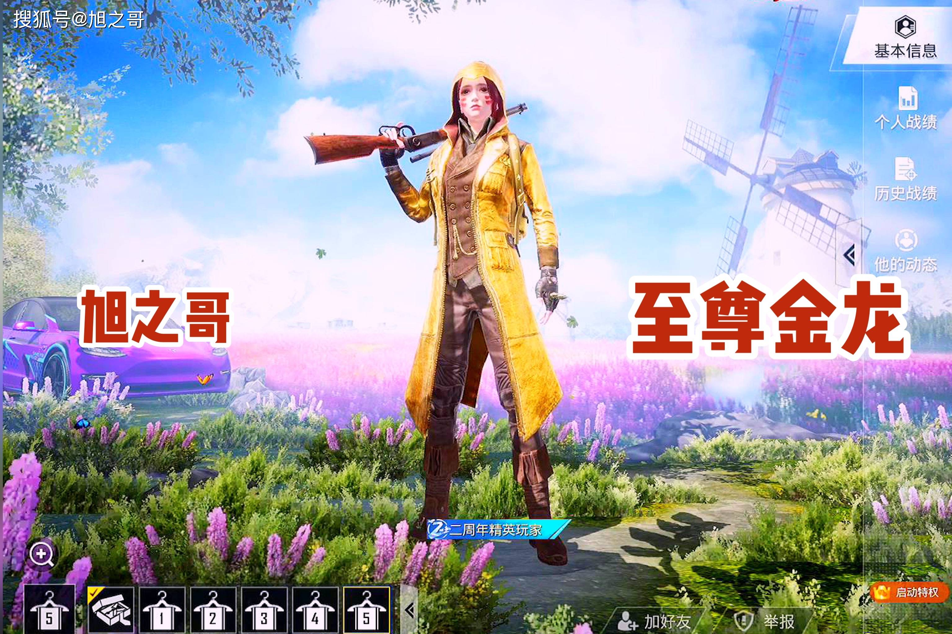 和平精英不同kd值对应不同游戏段位查看您在其中的段位吧