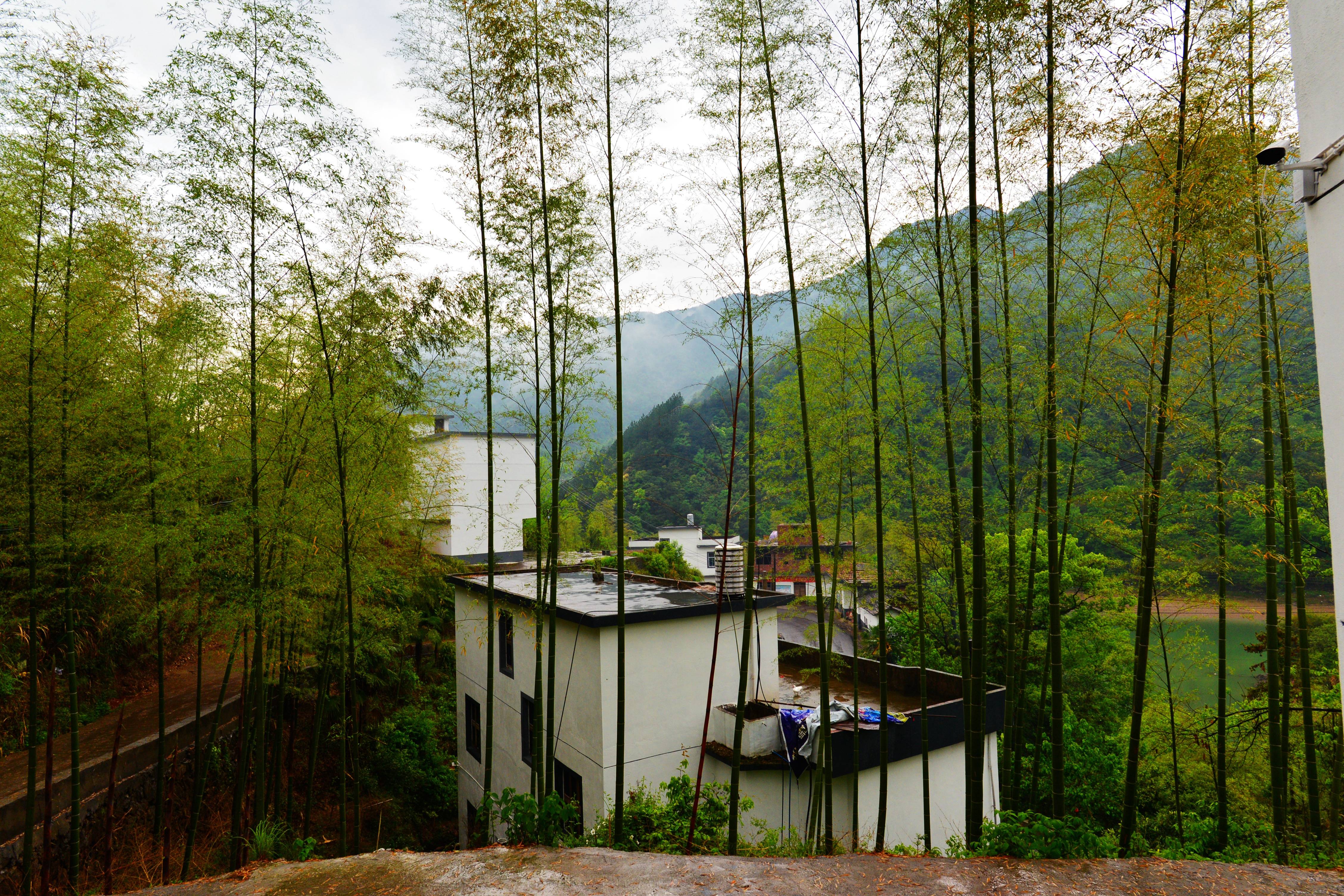 太甲村以古代帝名号命名的奇山奇村