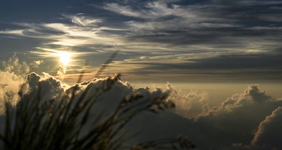 家电价格战在市场失灵了!海信美的格力长虹TCL“上天入地”抢先-家电圈官网