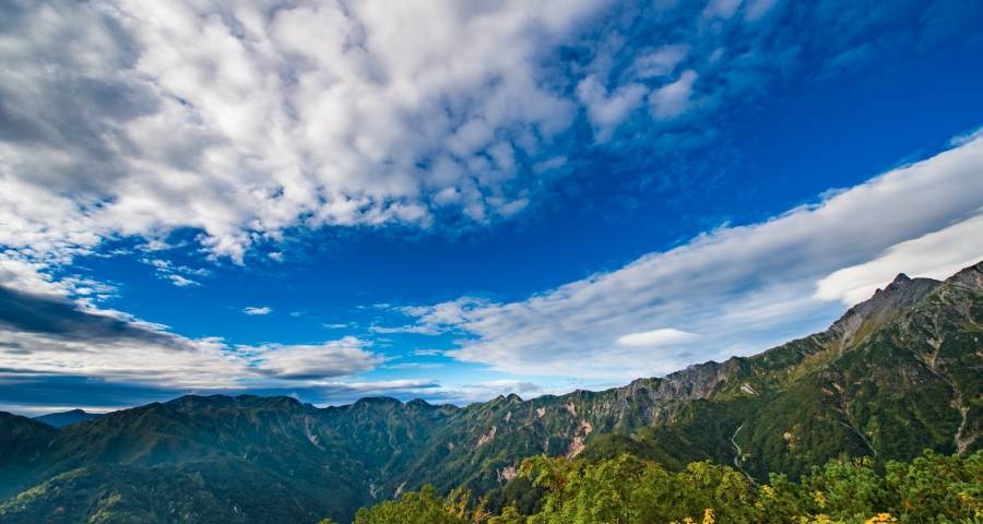 2021年下半年家电市场将更加诡异与多变-家电圈官网