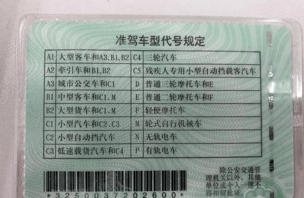A2驾驶证模板图片