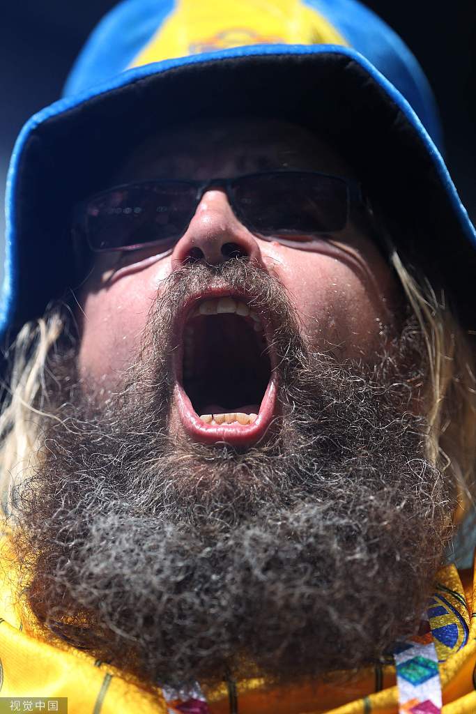 高清图:瑞典vs斯洛伐克 球迷看台呐喊声震耳欲聋