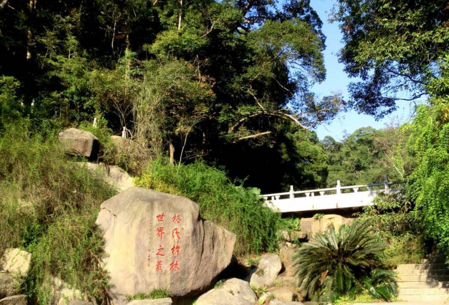雨观瀑布,树影不随流水,蔚为天然画本福建霞浦一中 林承强