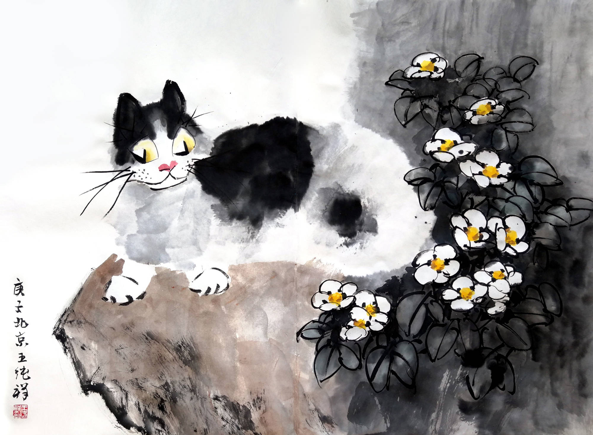 猫王王纯祥共和国本命年日月同辉