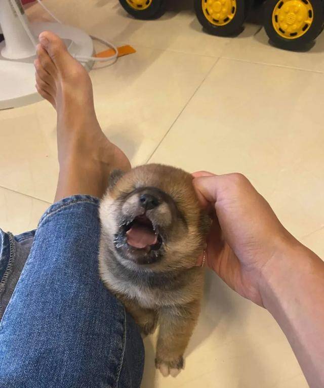 c5fa0e00b27242fa90c54c5d55ec3061.jpeg
