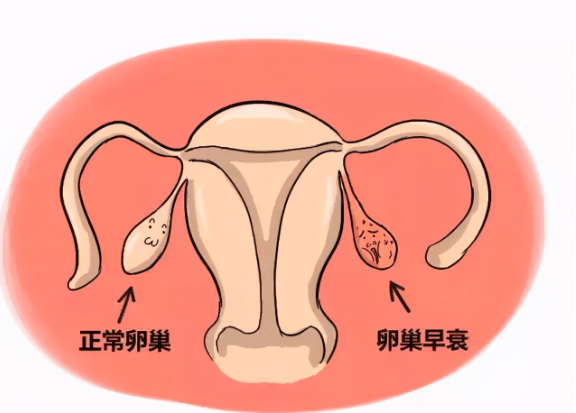 怎么快速来初潮 012f12adea0641179360e428091dc5dc.png
