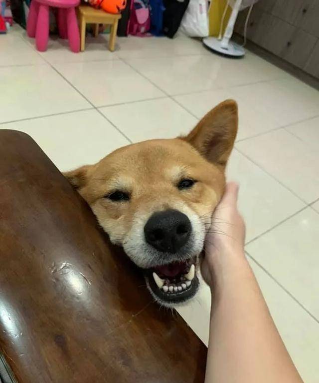 6b5a7b124d074a1d81382d51cabed639.jpeg