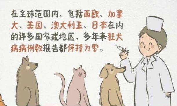 梦见狗咬伤自己还让别人恶了20元，解读梦境背后的深层含义