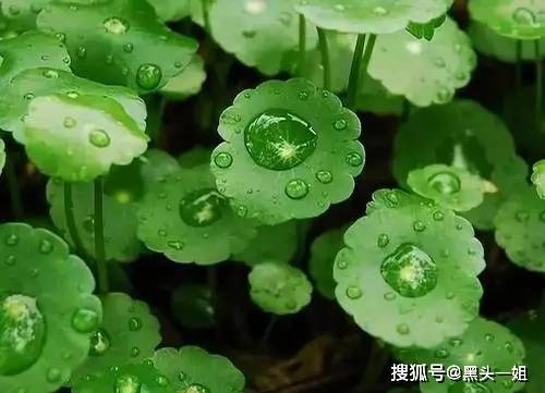 b954223d707e4f4ba53073763fd56d52.jpeg