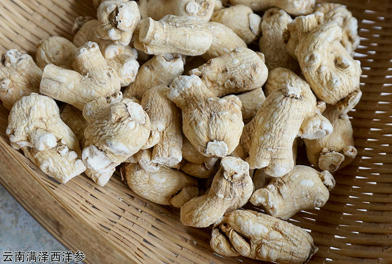 花旗参和西洋参是一样的东西吗 247616f91762402bb6619ad7f4bb4a87.jpeg